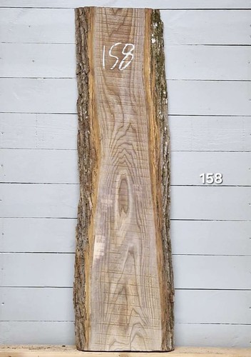 Elm live edge timber 1230mm - live,