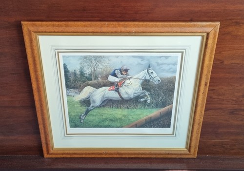 Desert orchid colin brown - orchid,,