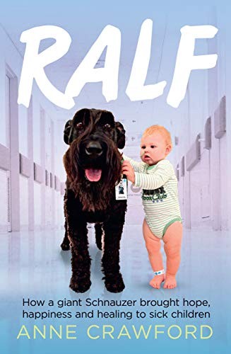 Ralf how giant schnauzer - how,