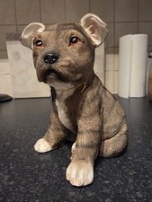 Leonardo "Dog Studies" Staffie