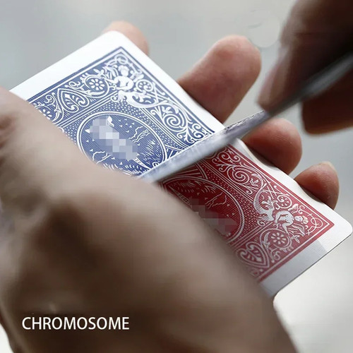 Chromosome colour change card - colour,