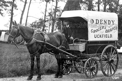 Azf dendy grocer - azf-94, and