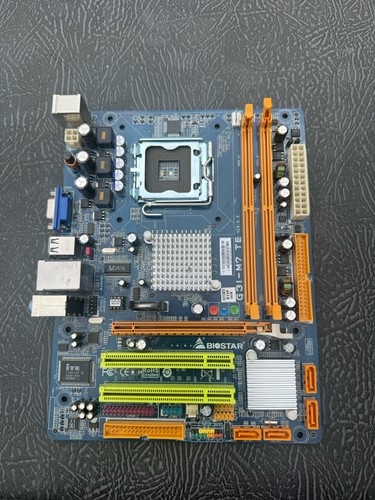 Biostar g31 te - g31-m7,