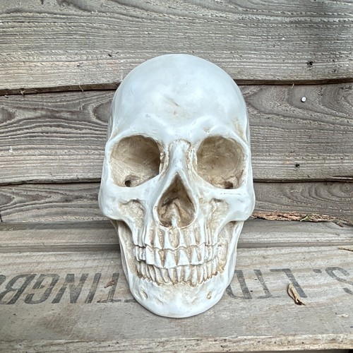 Large white skull resin - large,