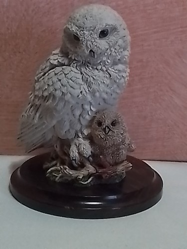 Country artists snowy owl - country, "