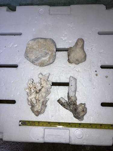Cb5 set small coral - set,