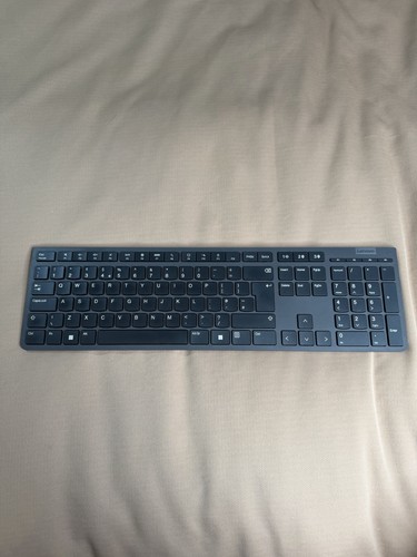 Lenovo professional wireless - professional,