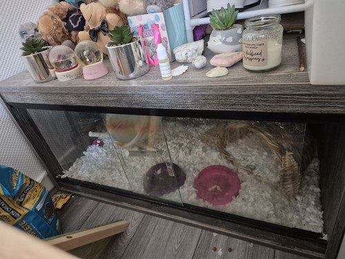 3x2foot vivarium reptile - 3x2foot,