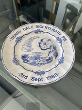 VINTAGE DENBY DALE BICENTENARY