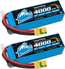 Yowoo 2 Pack 6S Lipo Battery