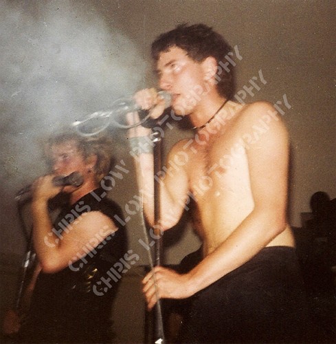 Alternative 1983 quality - 1983,