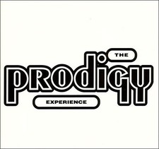 Experience the prodigy - experience,