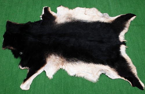 Luxury goat hide rug hair - goat,