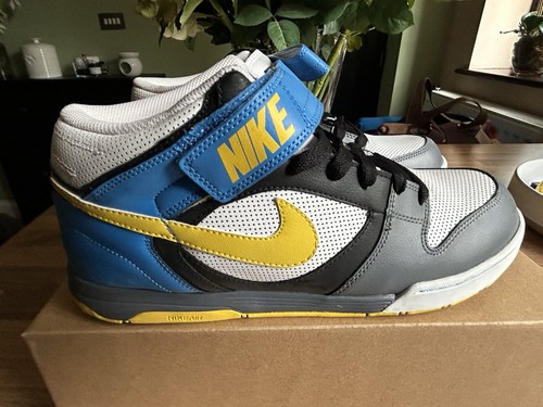 Nike skate trainers mens - nike,