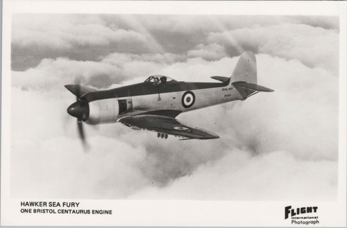 Hawker sea fury - fury, real