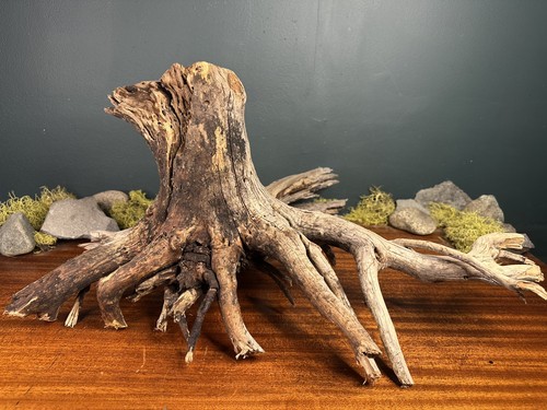 Manzanita driftwood - xl,