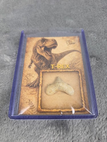 2026 peices the past rex - past, t-rex