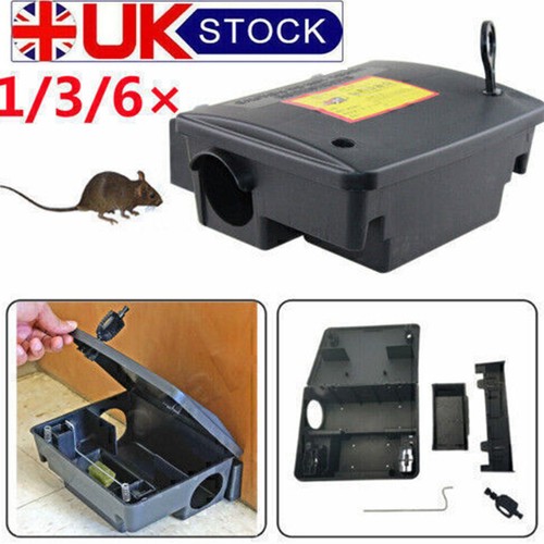 Rodent box trap station - trap,