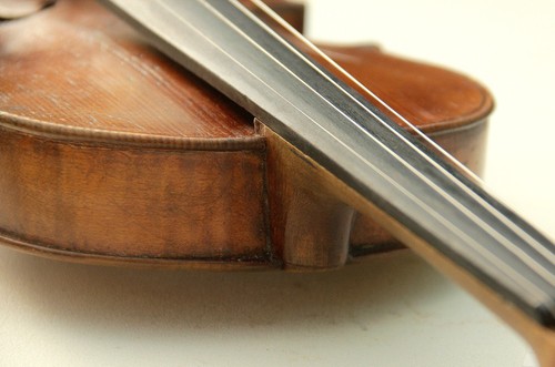 Old violin cello - violin,