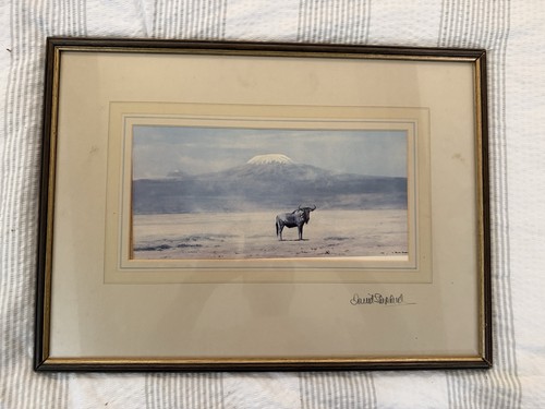David shepherd serengeti skies - shepherd,