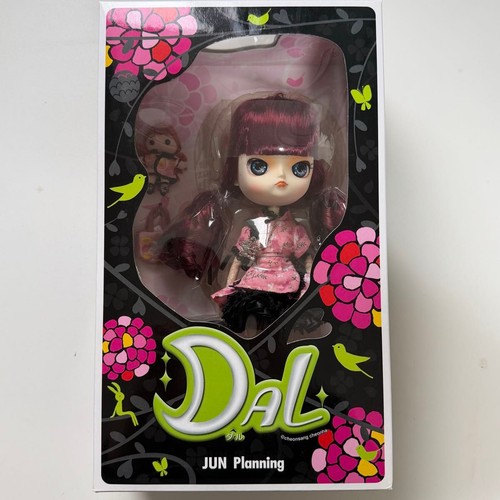 Jun planning pullip - jun, doll