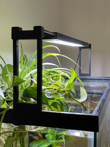 Risers fluval plant marine - risers, &