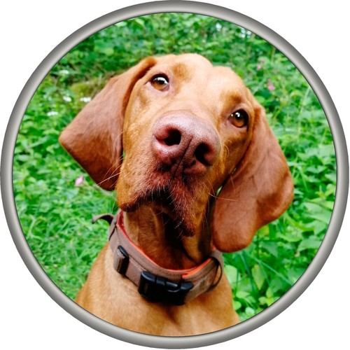 4x4 spare wheel cover - 4x4,