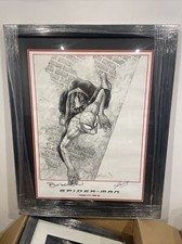 Spider-Man Framed print signed