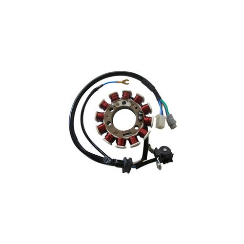 Stator poles for yamaha 125 - stator,