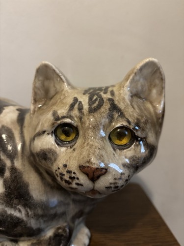 Large size winstanley - winstanley, cat