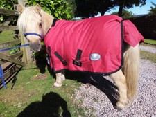 MIDDLEWEIGHT SHETLAND/FOAL TURNOUT RUG 3'6 3'9 4'0,4'3,4'6 RED BLACK *FREE POST*
