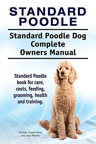 Standard poodle - poodle.,