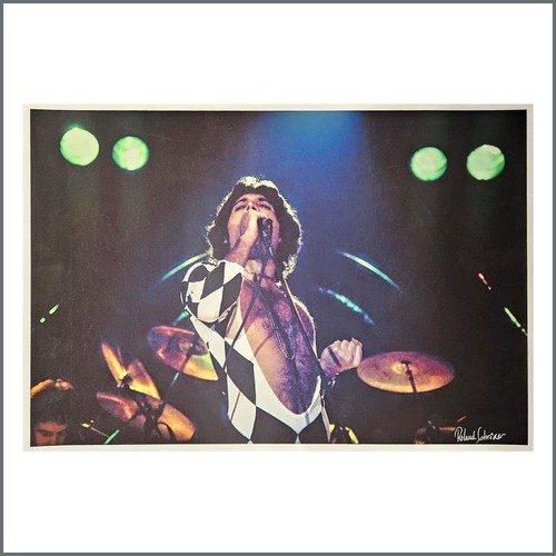 Collection freddie - 10,