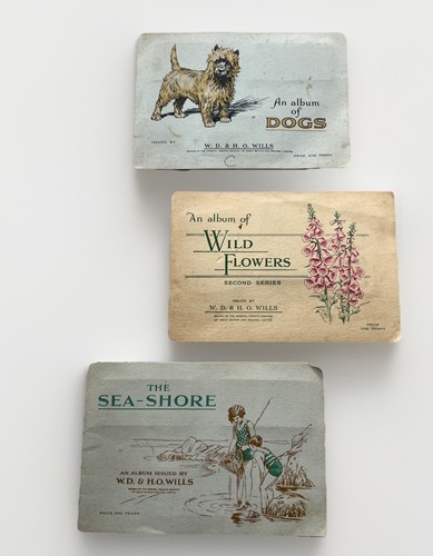 Vintage wills cigarette - 3, x