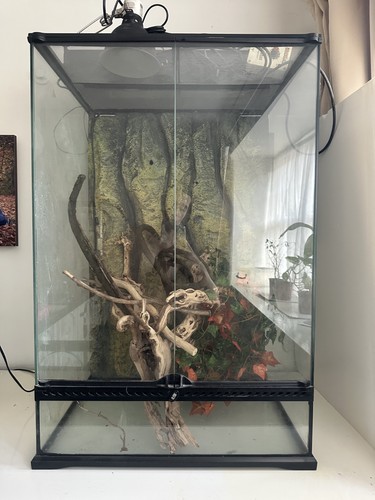 Exo terra terrarium 60cm - terrarium,