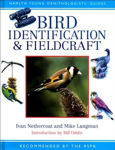 Bird identification - identification, &