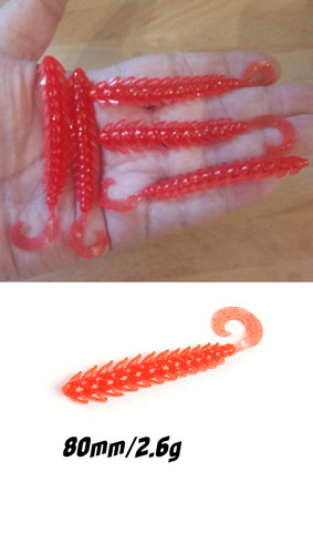 Curly tail larva - larva, worm