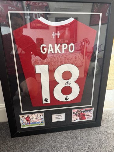 Cody gakpo signed liverpool - gakpo,