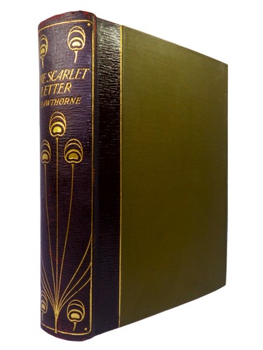 The scarlet letter - the,