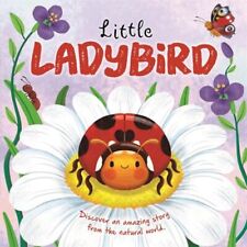 Little Ladybird (An illustrated story about the life-cycle of a 