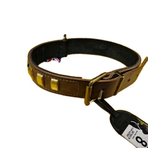 Staffie dog colour ancol - staffie,