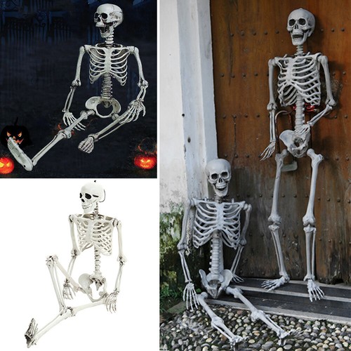 Posable halloween skeleton - halloween,