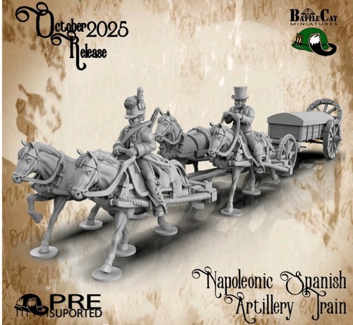 28mm napoleonic spanish - napoleonic,