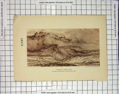 Original old antique print - old,