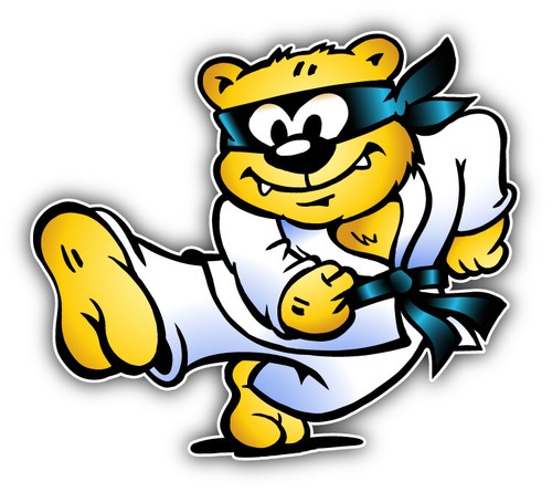 Karate bear cartoon - karate, car