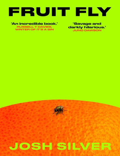 Fruit fly josh silver - silver, ⬇️