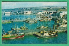 🌞FISHING VESSELS IN CLUNIE