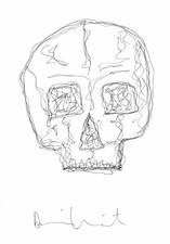 Damien Hirst Skull drawing