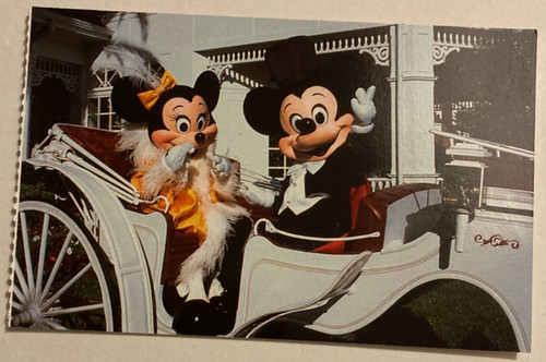 Usa florida disney postcard - usa,