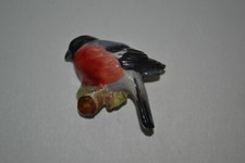 Royal Worcester Rare Bird